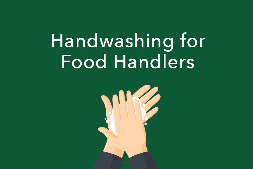 What Cannot be Used to Dry Utensils? Guide for Food Handlers